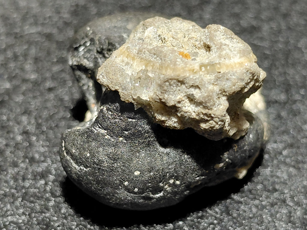 #2002 - 11.8 grams / 59.2ct - Raw Carbonado Diamond - Precambrian Impact Meteorite Specimen