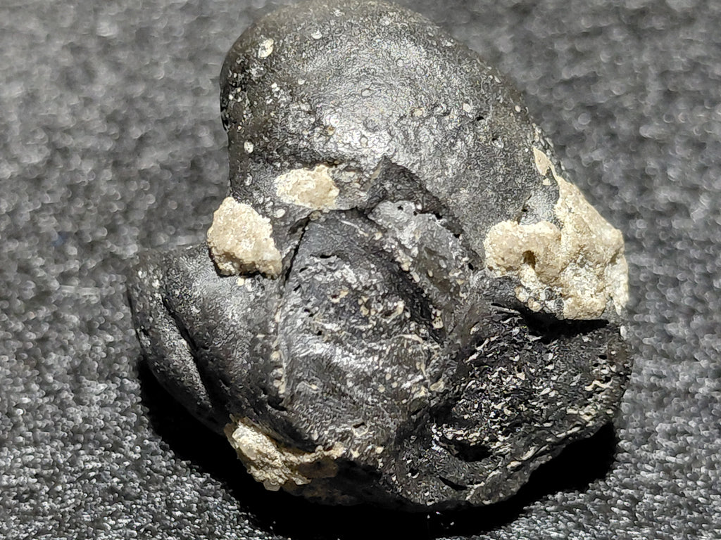 #2002 - 11.8 grams / 59.2ct - Raw Carbonado Diamond - Precambrian Impact Meteorite Specimen