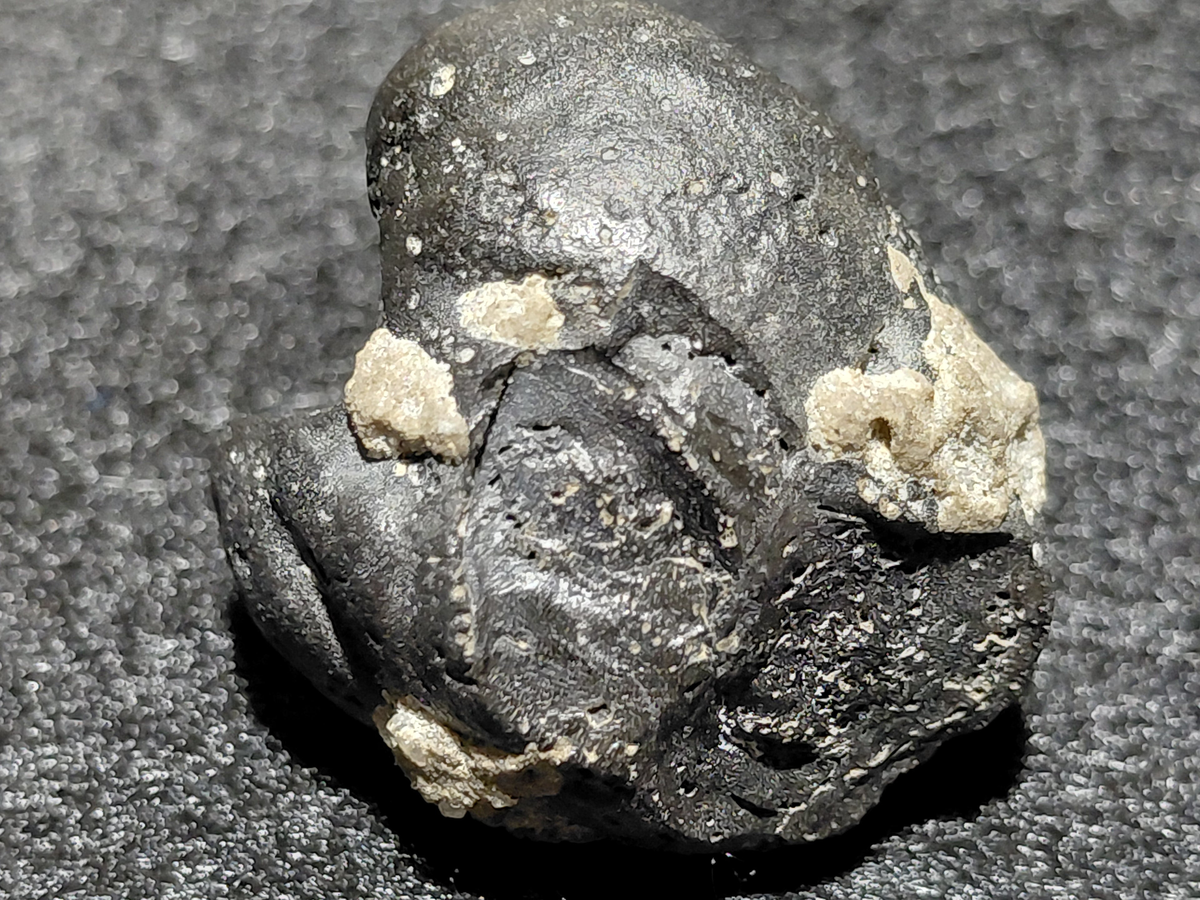 #2002 - 11.8 grams / 59.2ct - Raw Carbonado Diamond - Precambrian Impact Meteorite Specimen