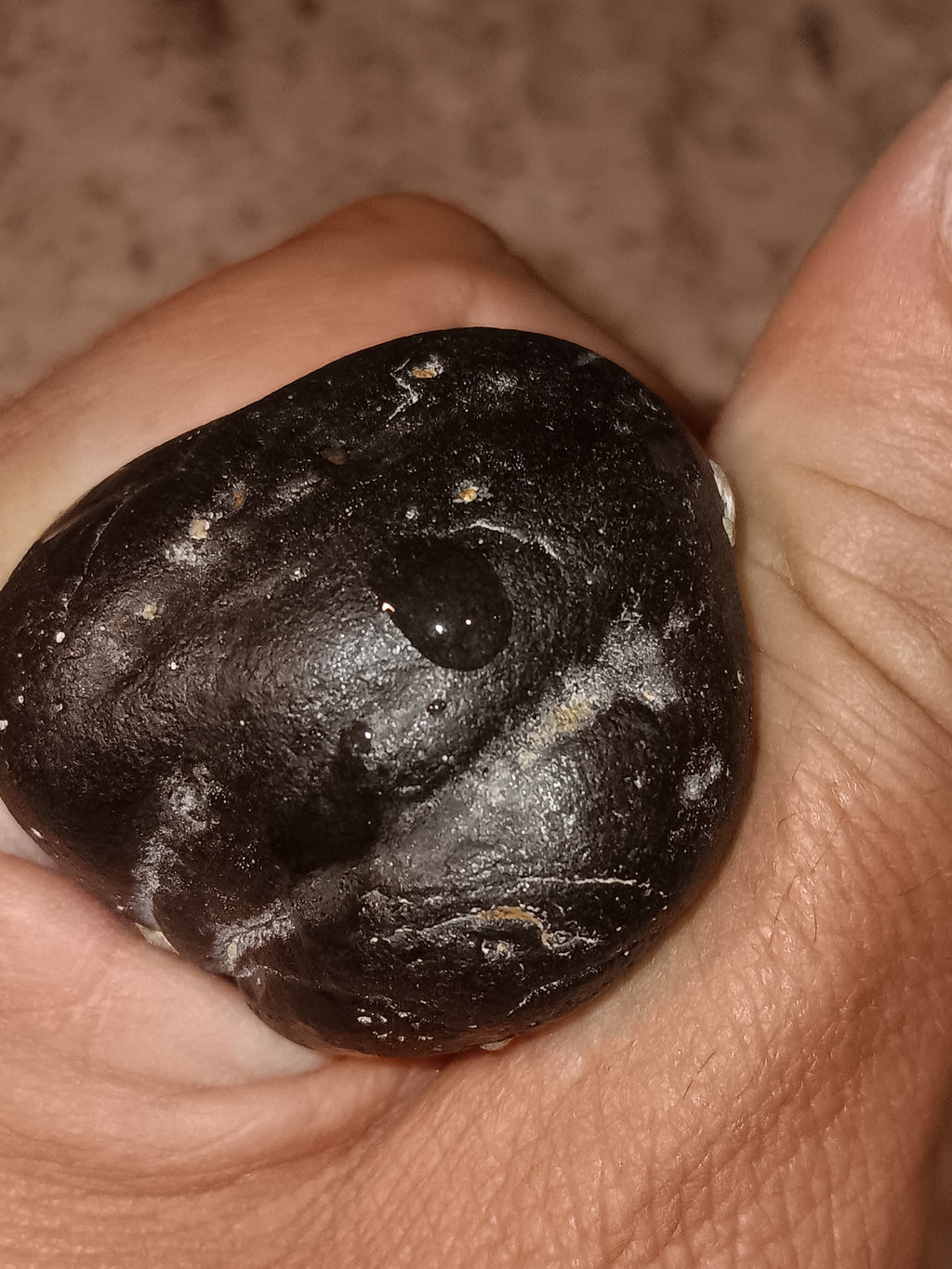 Raw Carbonado Diamonds