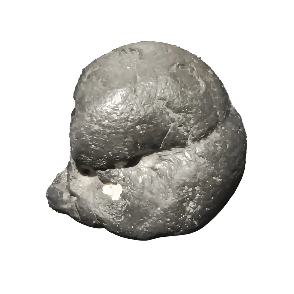 #1001 "Skully" - 145.9 grams / 777 ct - Raw Carbonado Diamond - Precambrian Impact Meteorite Specimen - Musium Quality