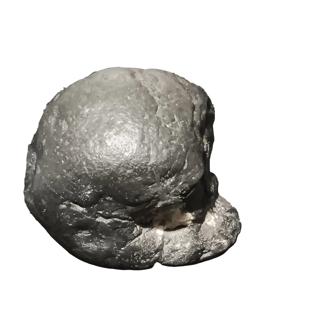 #1001 "Skully" - 145.9 grams / 777 ct - Raw Carbonado Diamond - Precambrian Impact Meteorite Specimen - Musium Quality