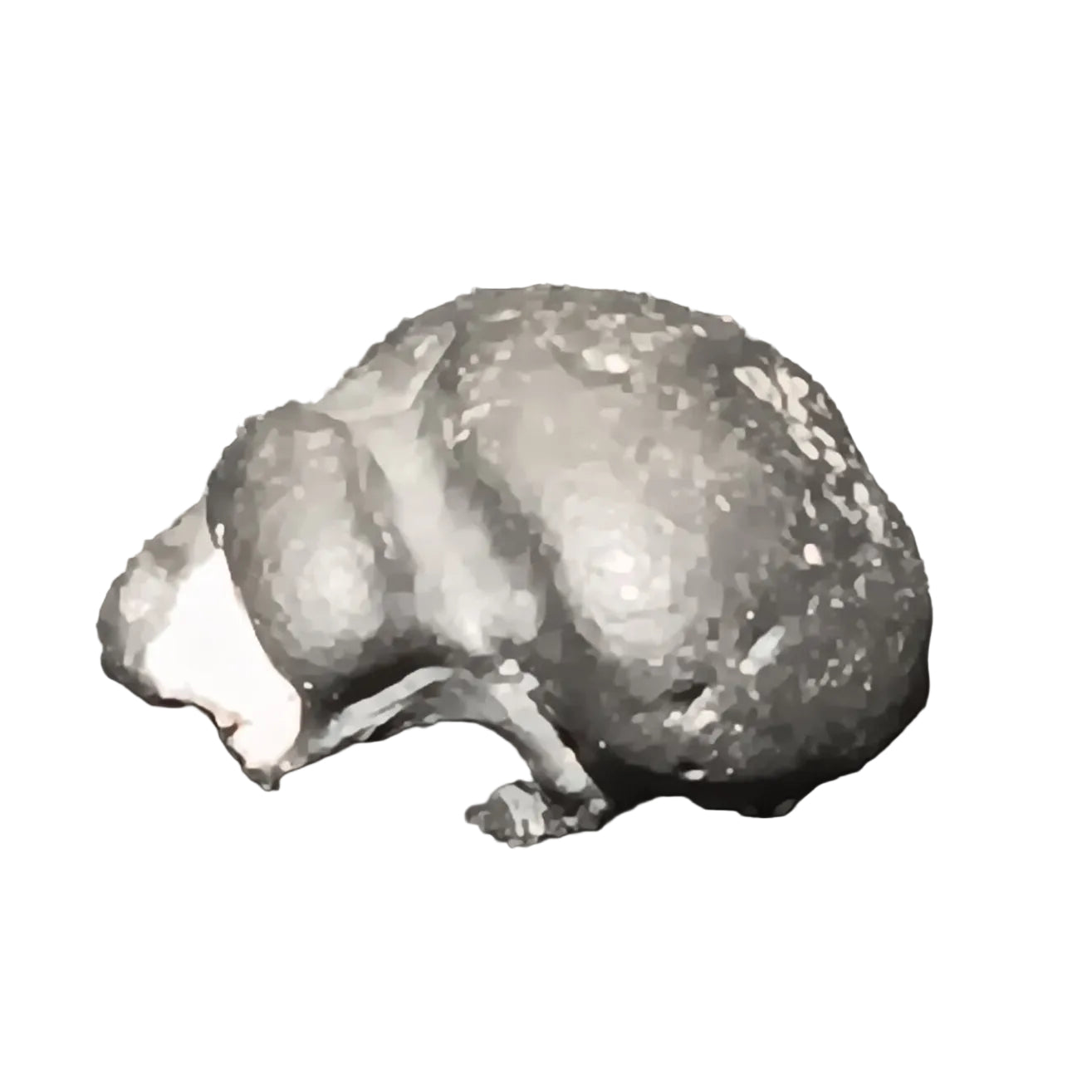 #2003 - 7.3 grams / 36.55 ct - Raw Carbonado Diamond - Precambrian Impact Meteorite Specimen