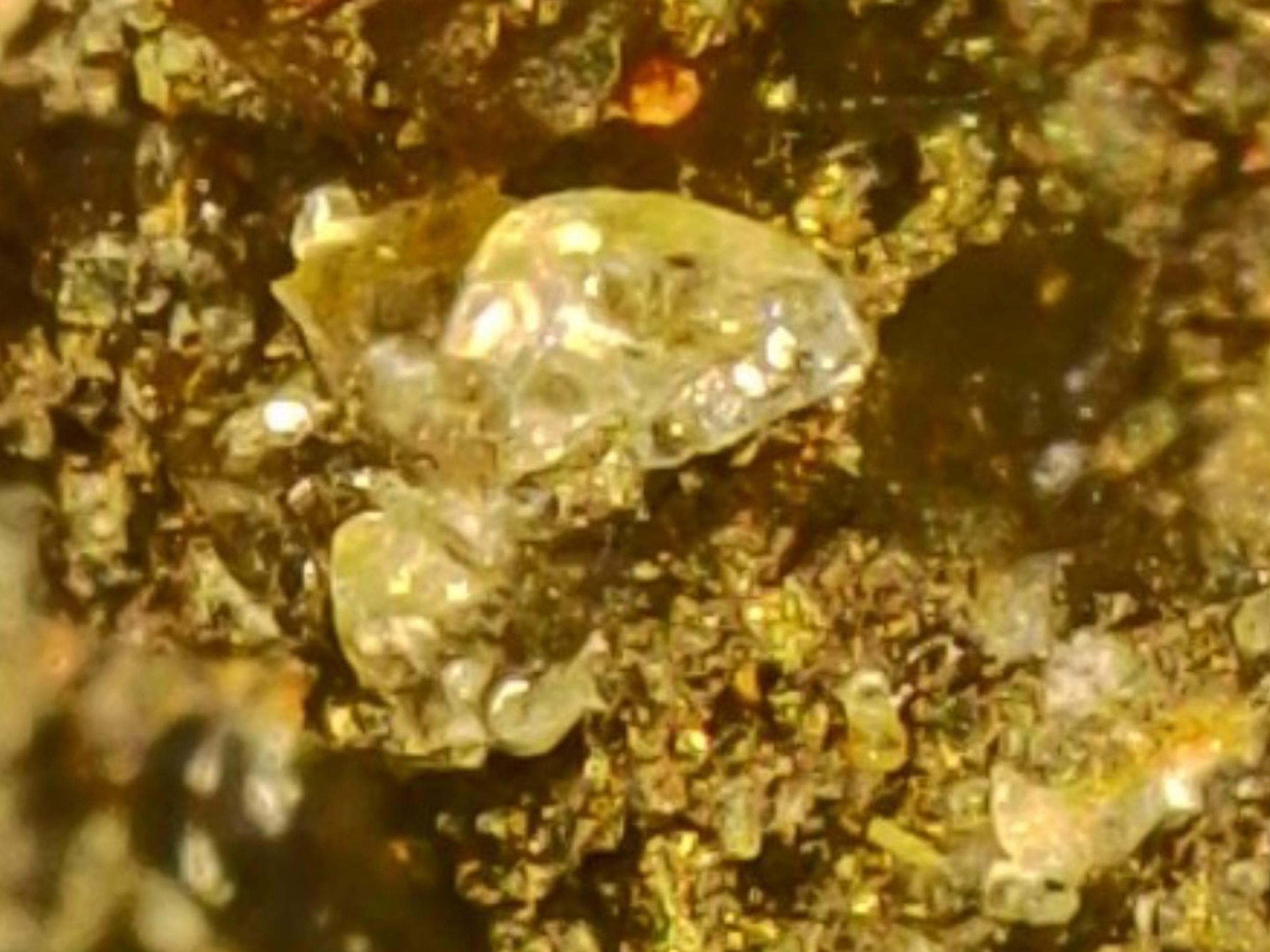 #2001 - 13.2 grams / 66.15ct - Raw Carbonado Diamond - Precambrian Impact Meteorite Specimen