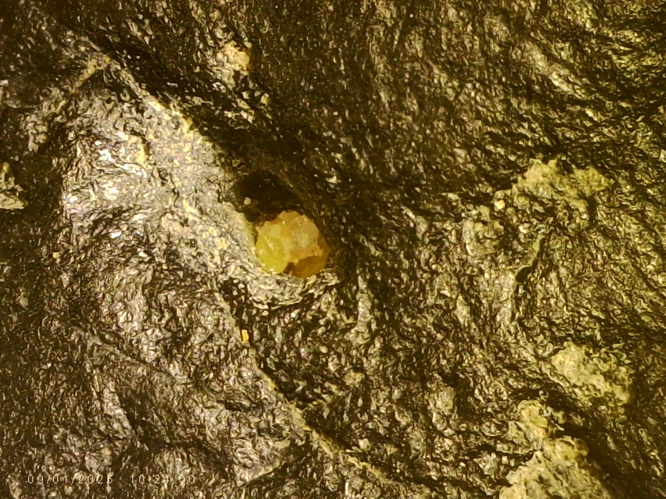 Raw Carbonado Diamonds