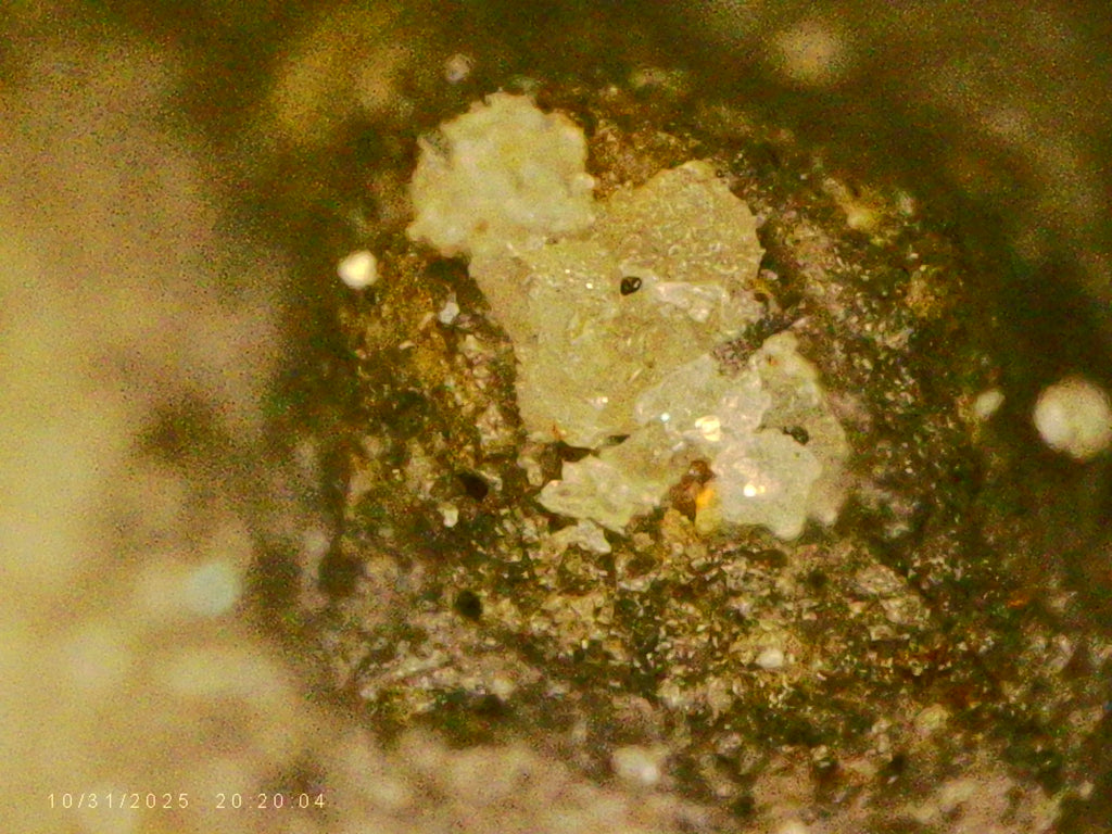 #1001 "Skully" - 145.9 grams / 777 ct - Raw Carbonado Diamond - Precambrian Impact Meteorite Specimen - Musium Quality