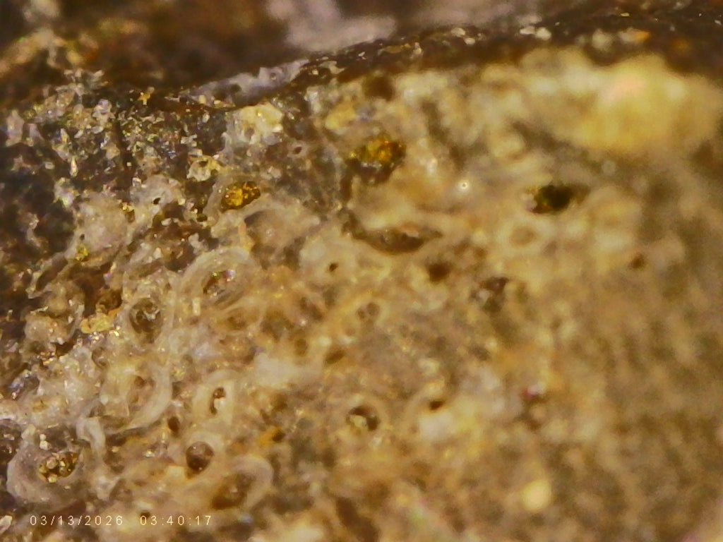 #2001 - 13.2 grams / 66.15ct - Raw Carbonado Diamond - Precambrian Impact Meteorite Specimen