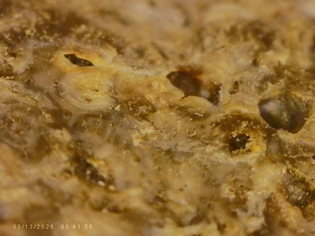 #2001 - 13.2 grams / 66.15ct - Raw Carbonado Diamond - Precambrian Impact Meteorite Specimen