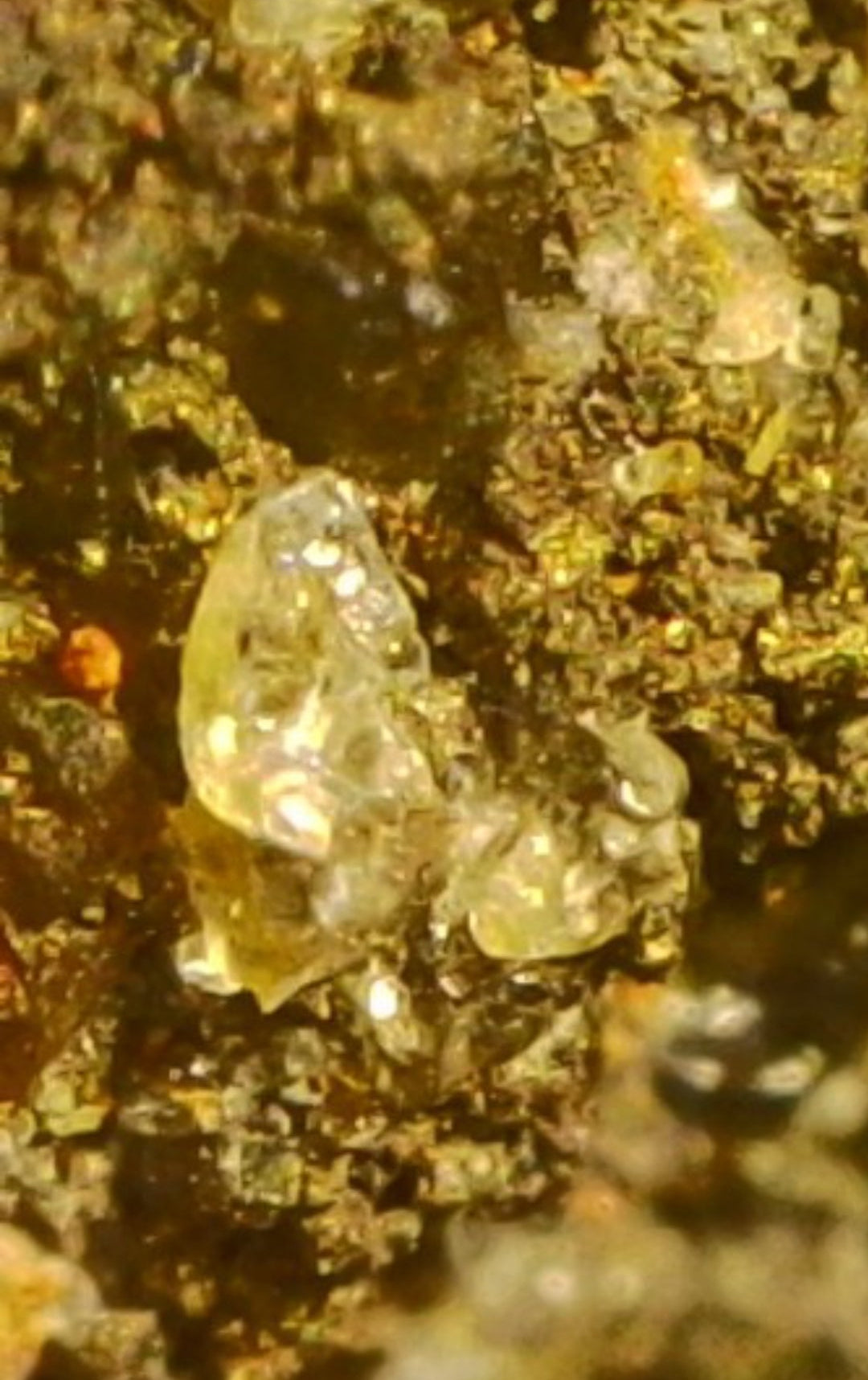 Raw Carbonado Diamonds