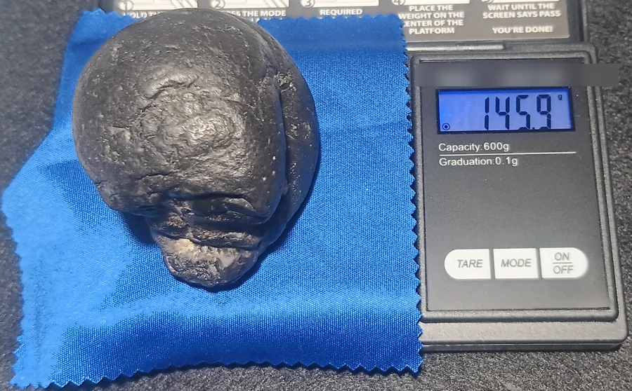 Skully on a digital scale reading 145.9