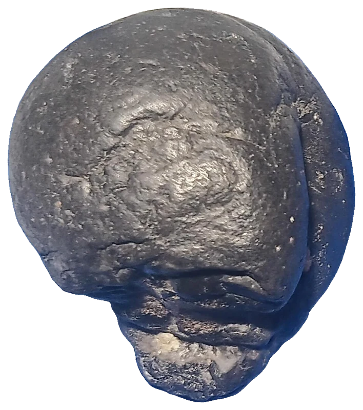Skully, view 1