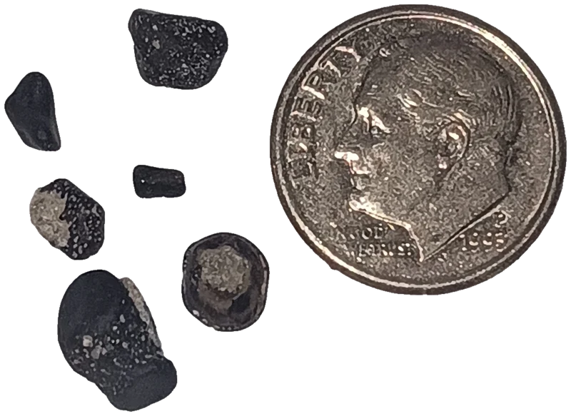 Photo of an ASA Digital Art specimen, shown for illustration. Not identified as carbonado; no origin is claimed. Not a lot for sale.