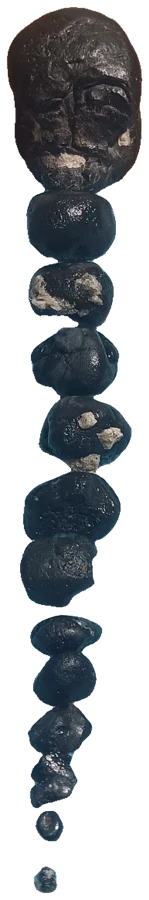 Skully, view 4