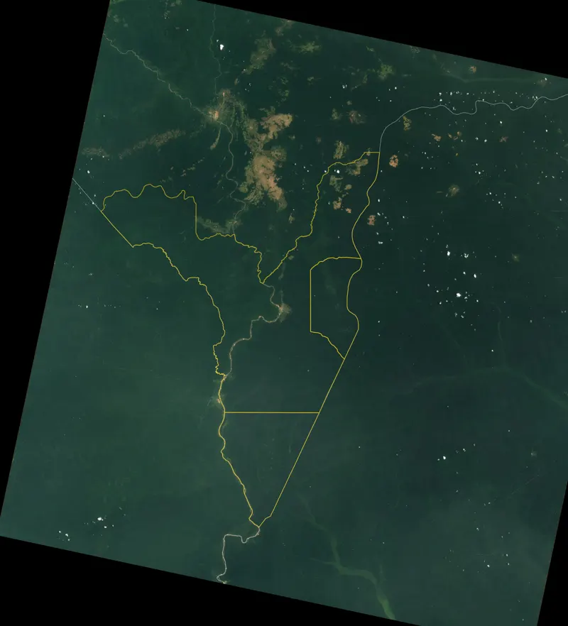 Dzanga Bai, Central African Republic, seen by Landsat 8 (March 28, 2021). Shown for regional context, not as a carbonado locality.