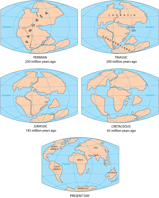 How the continents moved from Pangaea (250 million years ago) to today. Shown for illustration; it does not show carbonado or any find site.
