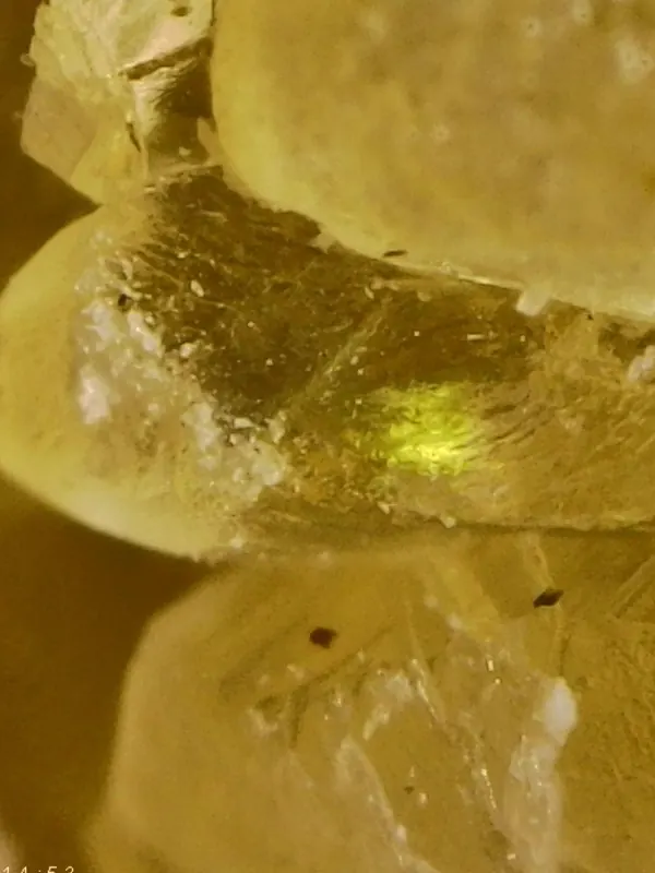 ASA Digital Art microscope photo, 1200x magnification, lit by opposing light beams