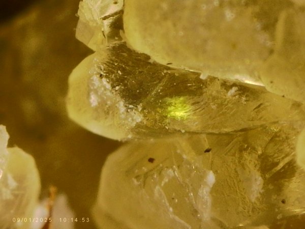Microscope close-up of translucent yellow crystals