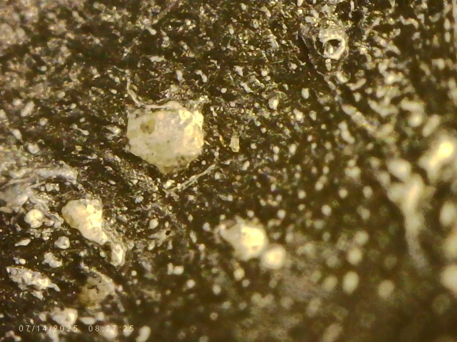 Microscope close-up of small white mineral grains on a dark surface