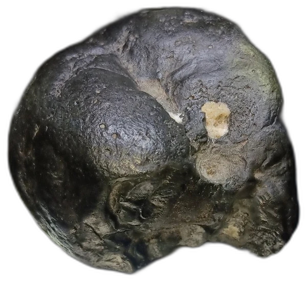 Another angle of the specimen, background removed